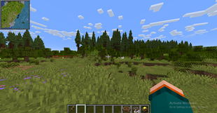 Photo1.png