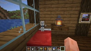 A Cozy Companion