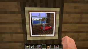 Framed Photograph