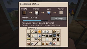 Developing Station
