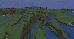 Rain Begins