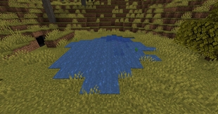 Before Evaporation