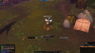 06 Combat.jpg
