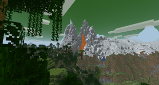 Variations Forest on a mountain.