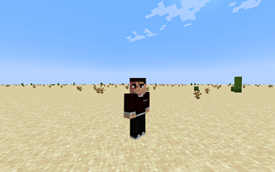 Phasing
