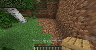 cant place planks.png