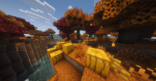 Pumpkins and shrubs.