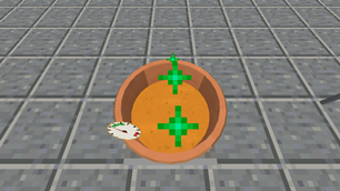 14_cheddar_2_caille_orange.png