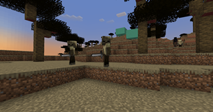 sandhusk