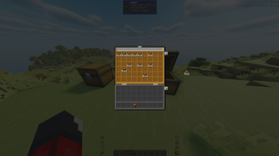 Chest View Double.png