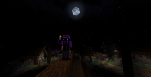 Night