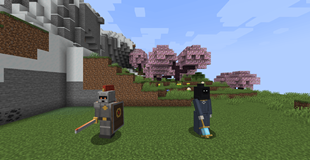 Ashen Captain and Gravewarden