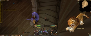 Felis Emote Button Leiste vertikal 80%