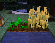 Farmland vs Volcanic Farmland