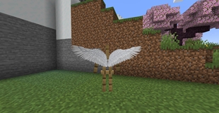 Celestial Wings