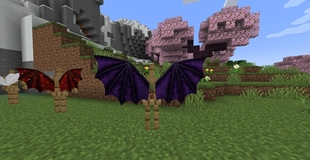 Dragon Wings