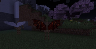 Demon Wings at night
