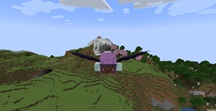 Flying