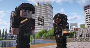 Armor Image 5