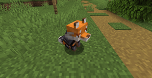 Armored Fox