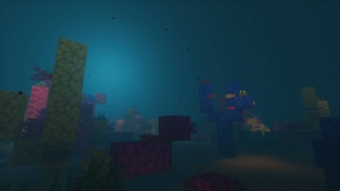 Ocean