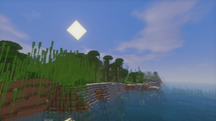 Rainforest