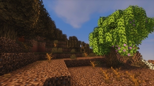 Bushy Leaves