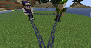 Visible chain