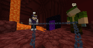 Trapped in nether with them, help