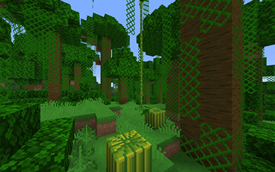 Jungle Environment