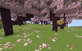 Cherry Grove Environment