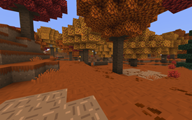 New Dappled Forest
