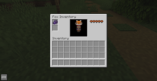 Fox Inventory