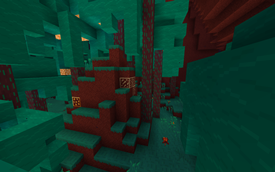 Warped Forest