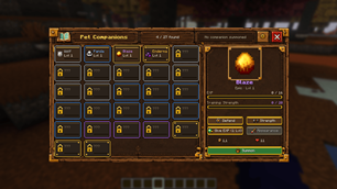Pet overview