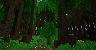 Worldgen