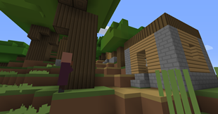 Small Village