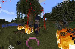 Wizard (pre-1.5 only)