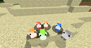 Hamsters