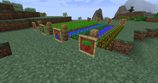 All the current crops planted (Since 0.4.15)