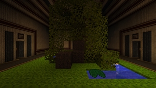 Nature Room