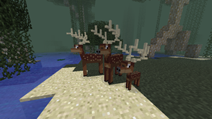 Twilight Forest