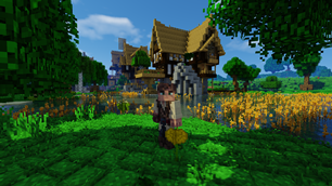 Village