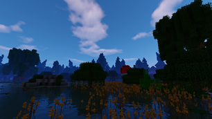 swamp
