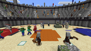 standard battle