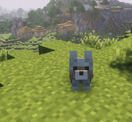 Wolf Companion