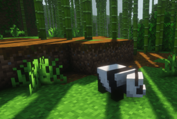 Panda Companion
