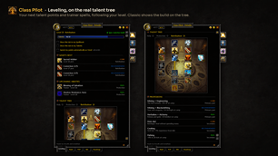 03-paladin-leveling.png