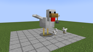 Live chicken