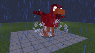 Dead chicken